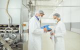 audit-of-food-factory-efficiency