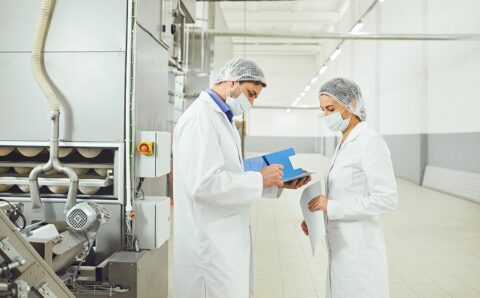 audit-of-food-factory-efficiency