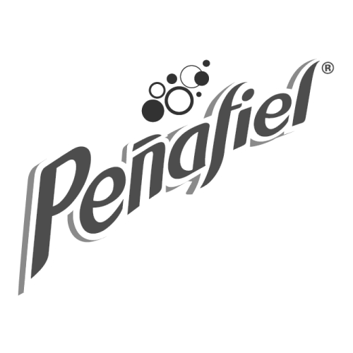 peñafiel_logo