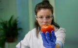 vista-frontal-mujer-investigadora-biologa-analizando-pimienta-inyectada-adn-quimico-experimento-agricultura-cientifica-cientifico-farmaceutico-que-trabaja-laboratorio-microbiologia